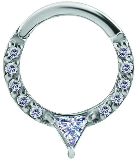 SS Steel Hinged Rings