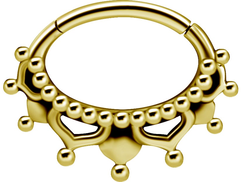 GD 316 HINGED SEPTUM &amp; DAITH CLICKERS 1,2x6mm mod.8