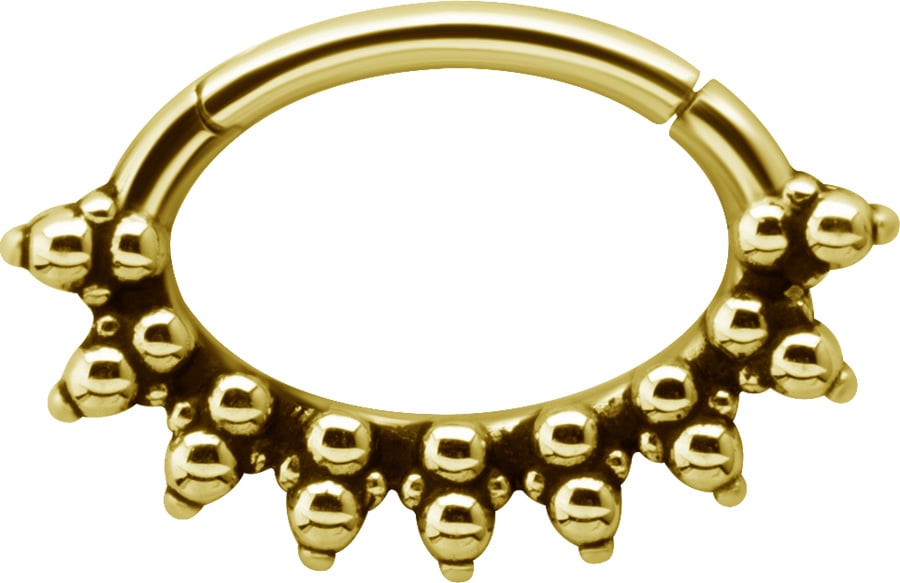 GD 316 HINGED SEPTUM &amp; DAITH CLICKERS 1,2x6mm mod.11