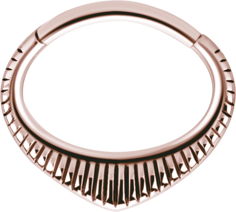 RG 316 HINGED SEPTUM &amp; DAITH CLICKERS 1,2x6mm mod.3